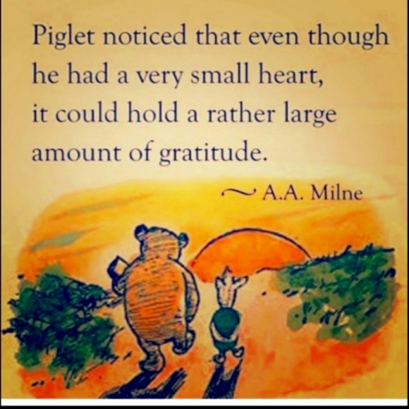 🏜️ Duvet SOUTHWEST Muted Abstract Water Colourish EUC 🏜️ - Picture 3 of 16